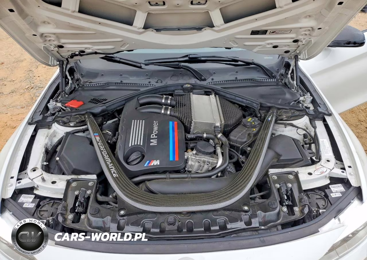 2015 BMW M4 VIN:WBS3R9C57FK333042 - 11
