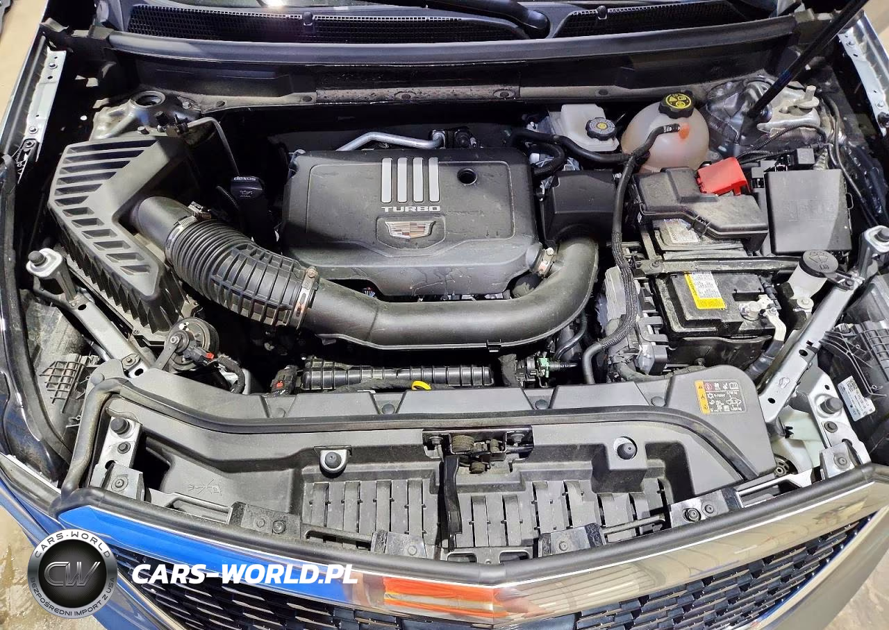 2024 Cadillac Xt5 Premium Luxury VIN:1GYKNDR40RZ710882 - 12