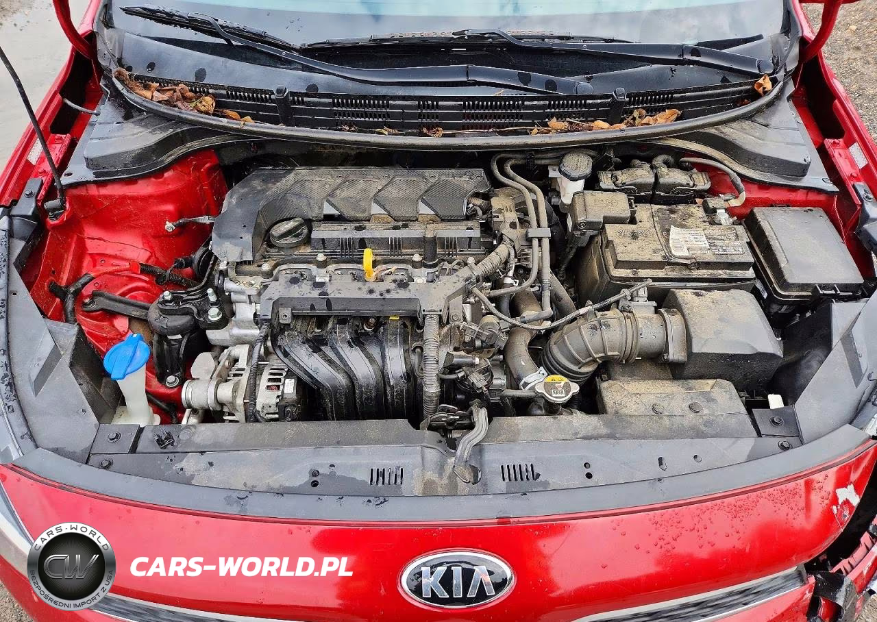 2020 Kia Rio 5-Door S VIN:3KPA25AD3LE343930 - 11