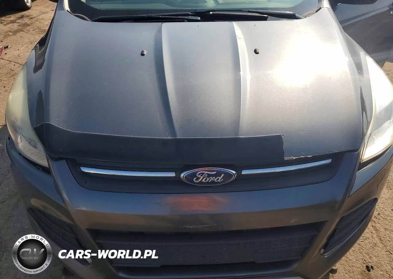 2016 Ford Escape Se VIN:1FMCU9GX3GUA65531 - 12