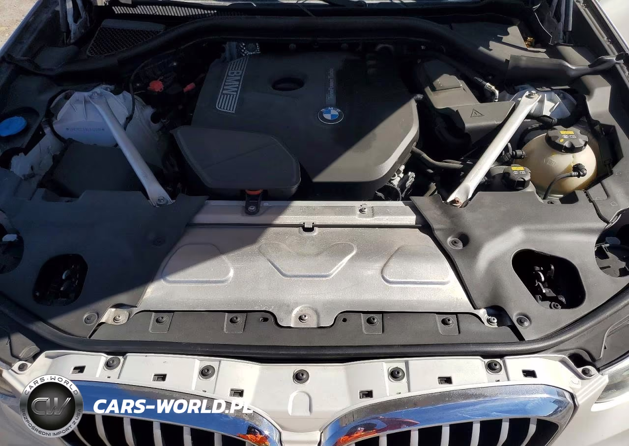 2019 BMW X3 Sdrive30I VIN:5UXTR7C51KLF32489 - 12