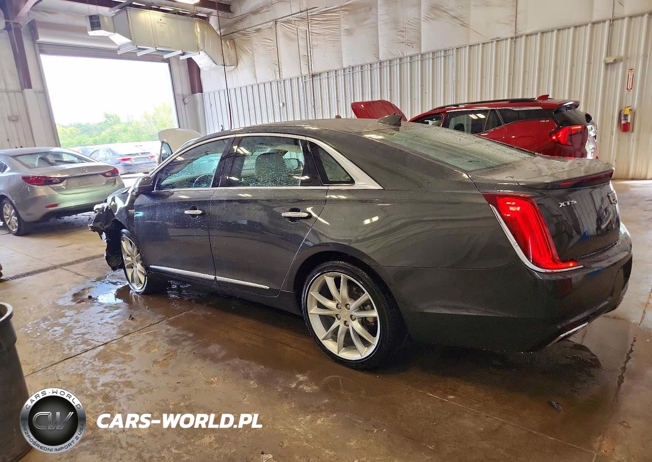 2019 Cadillac Xts Premium Luxury VIN:2G61P5S31K9100978 - 2