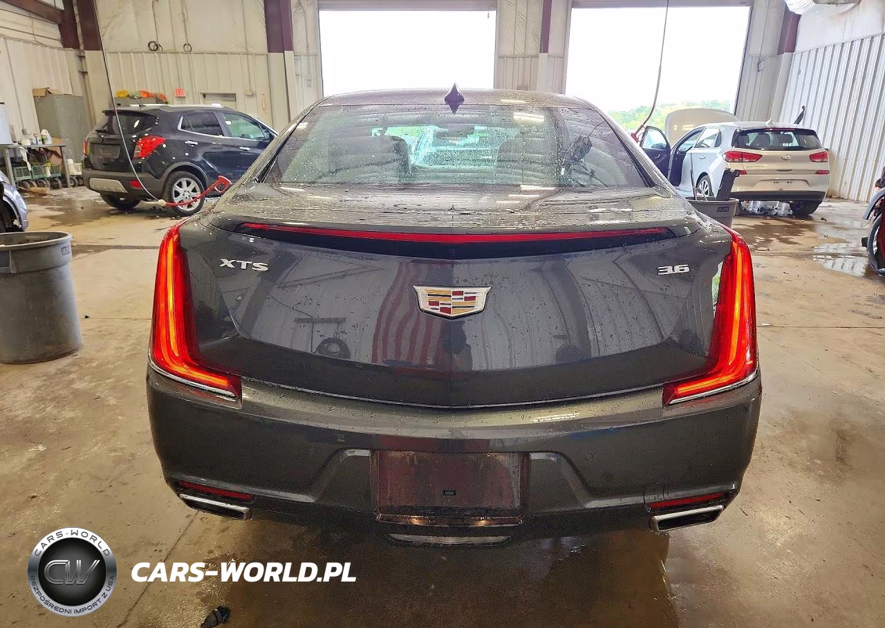 2019 Cadillac Xts Premium Luxury VIN:2G61P5S31K9100978 - 6