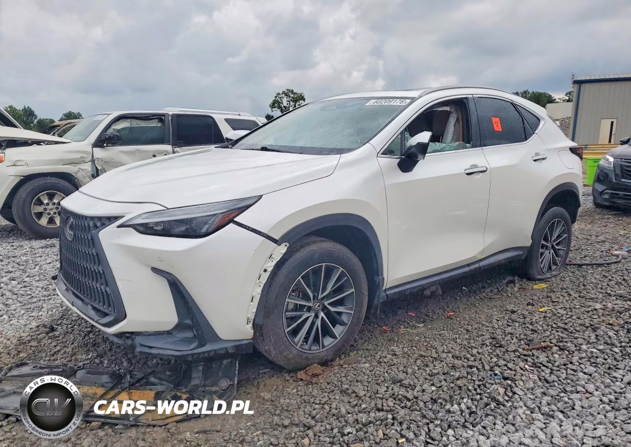 2023 Lexus Nx 350 VIN:JTJGGCEZ4P2009573 - 1