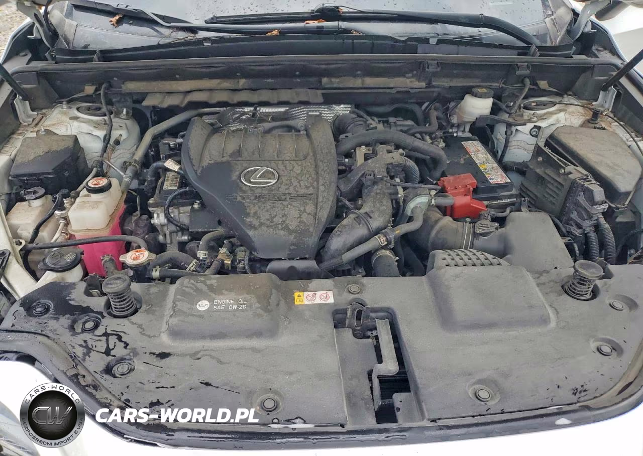 2023 Lexus Nx 350 VIN:JTJGGCEZ4P2009573 - 12