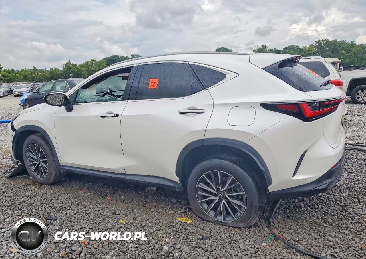 2023 Lexus Nx 350 VIN:JTJGGCEZ4P2009573 - 2