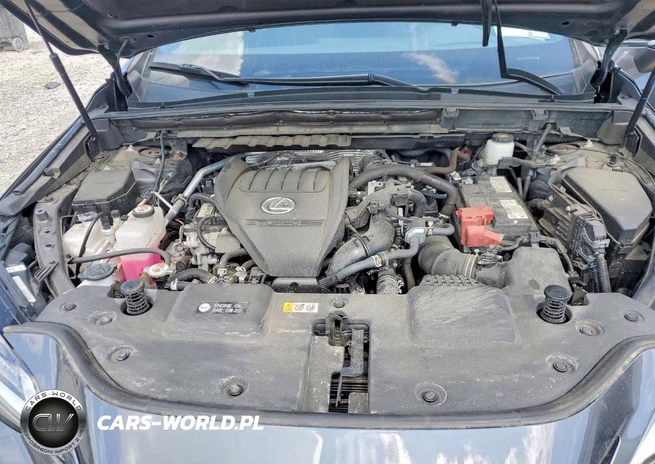 2024 Lexus Nx 350 F Sport Handling VIN:2T2KGCEZ8RC046610 - 12