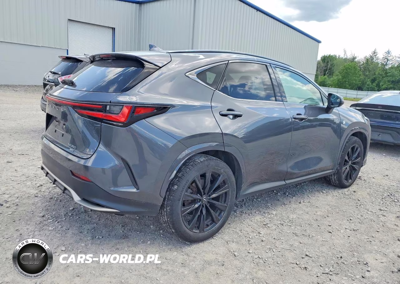 2024 Lexus Nx 350 F Sport Handling VIN:2T2KGCEZ8RC046610 - 3