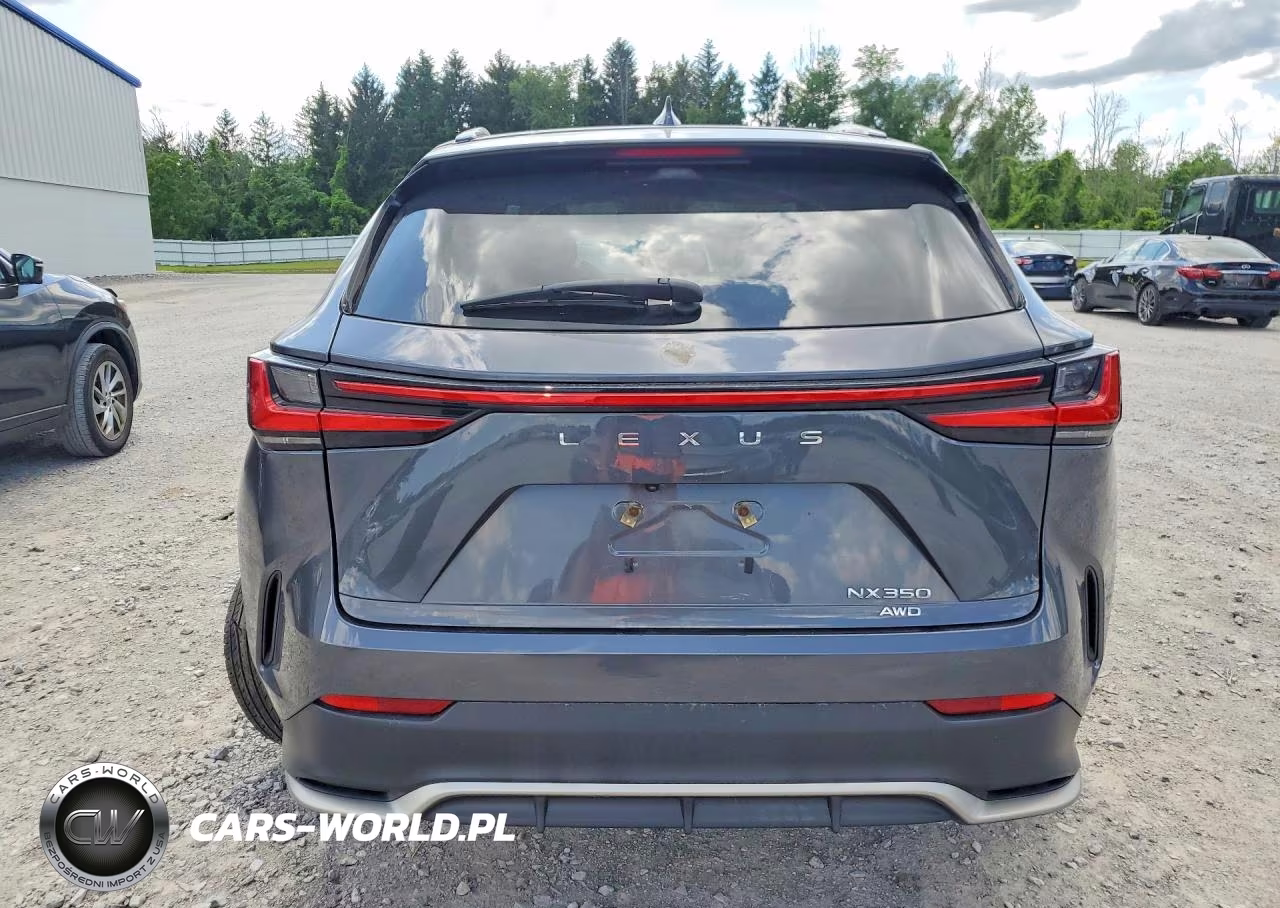 2024 Lexus Nx 350 F Sport Handling VIN:2T2KGCEZ8RC046610 - 6