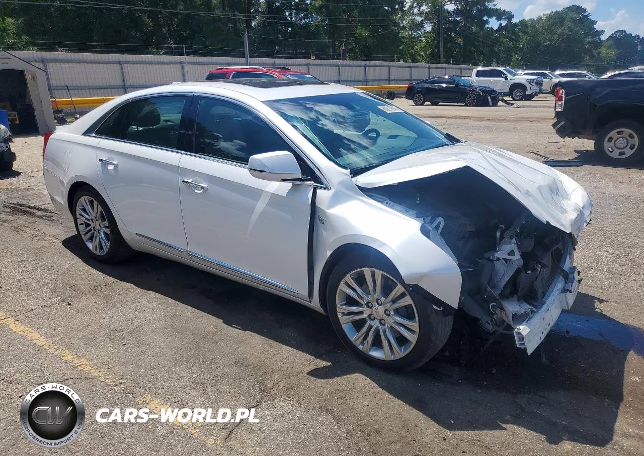 2019 Cadillac Xts Luxury VIN:2G61M5S30K9119126 - 4