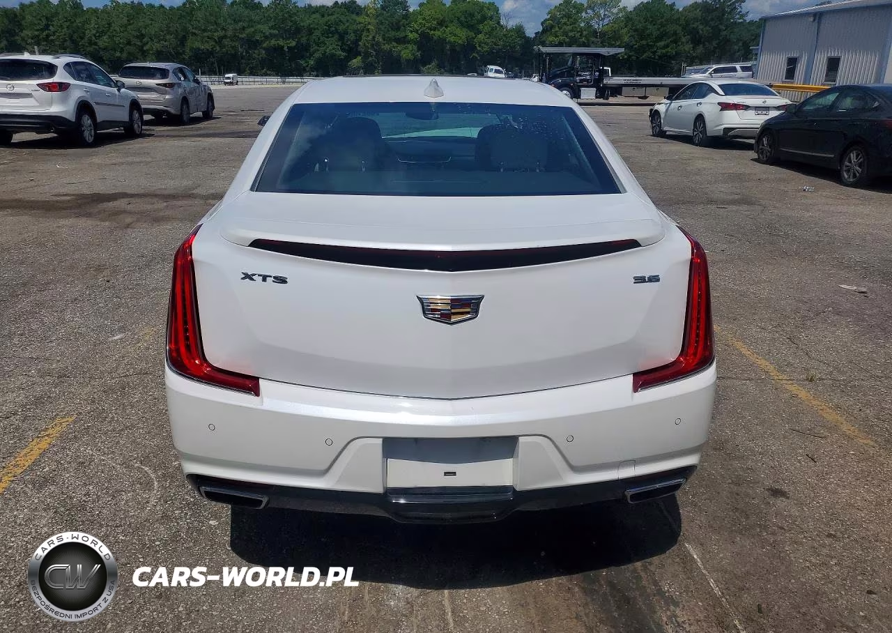 2019 Cadillac Xts Luxury VIN:2G61M5S30K9119126 - 6