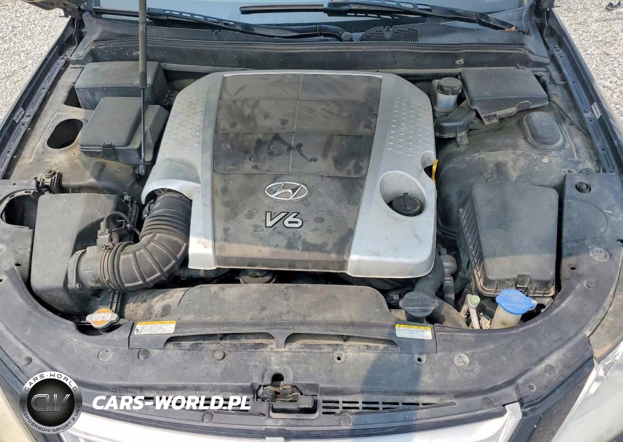 2009 Hyundai Genesis 3.8L VIN:KMHGC46E29U022454 - 11