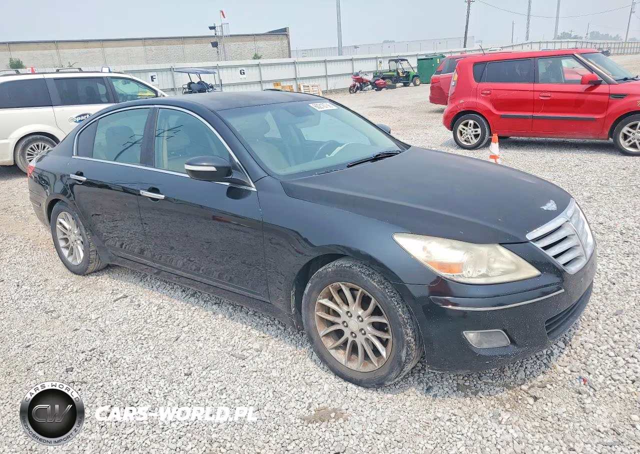 2009 Hyundai Genesis 3.8L VIN:KMHGC46E29U022454 - 4