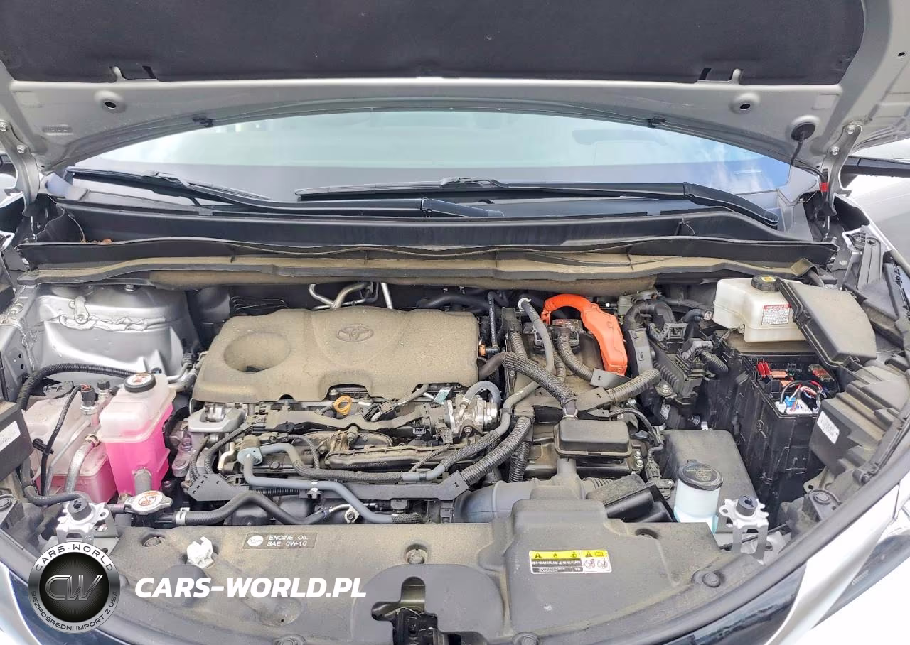 2023 Toyota Sienna Platinum 7-Passenger VIN:5TDESKFC2PS085380 - 12