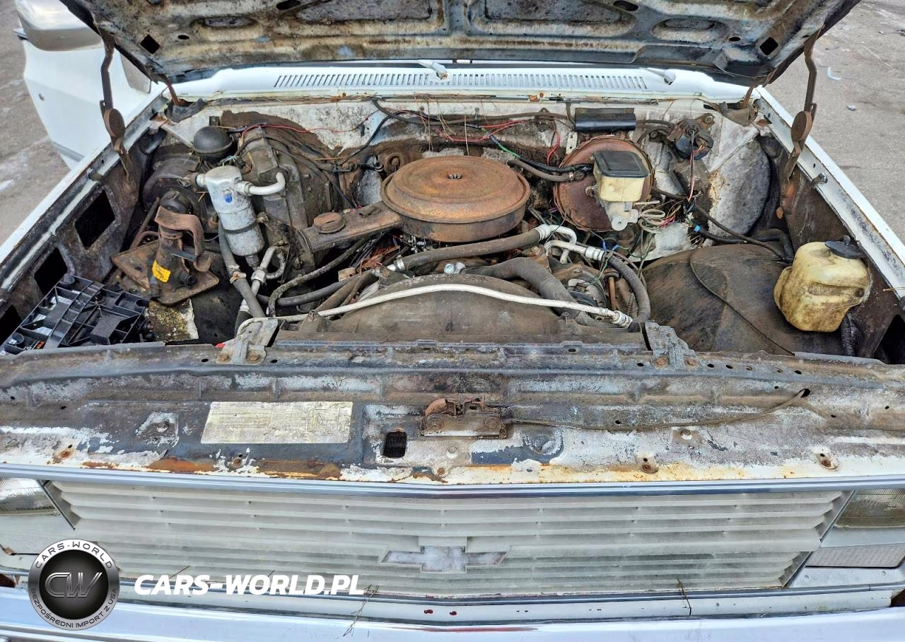 1983 Chevrolet C10 VIN:1GCCC14H5DF305331 - 11