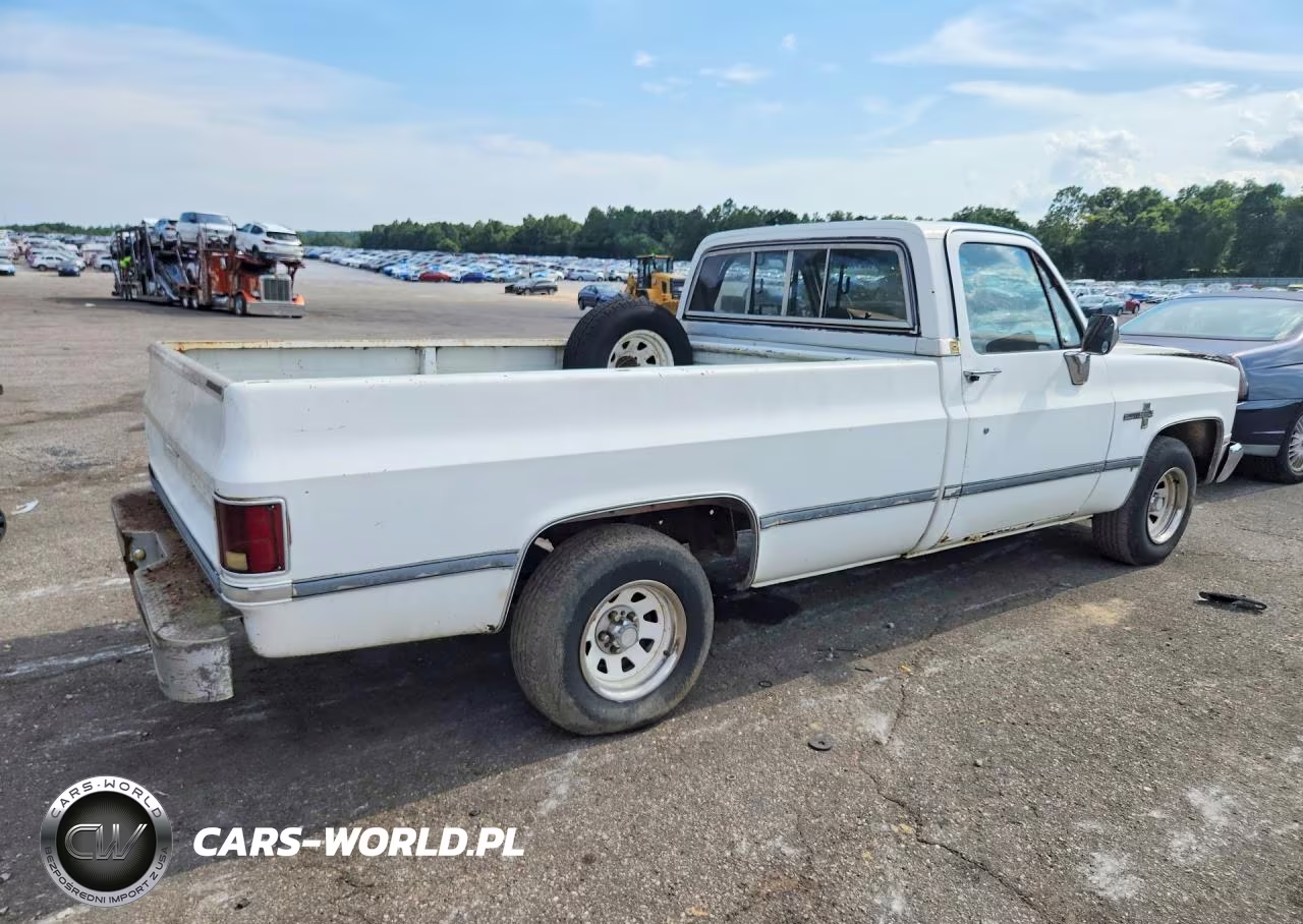 1983 Chevrolet C10 VIN:1GCCC14H5DF305331 - 3