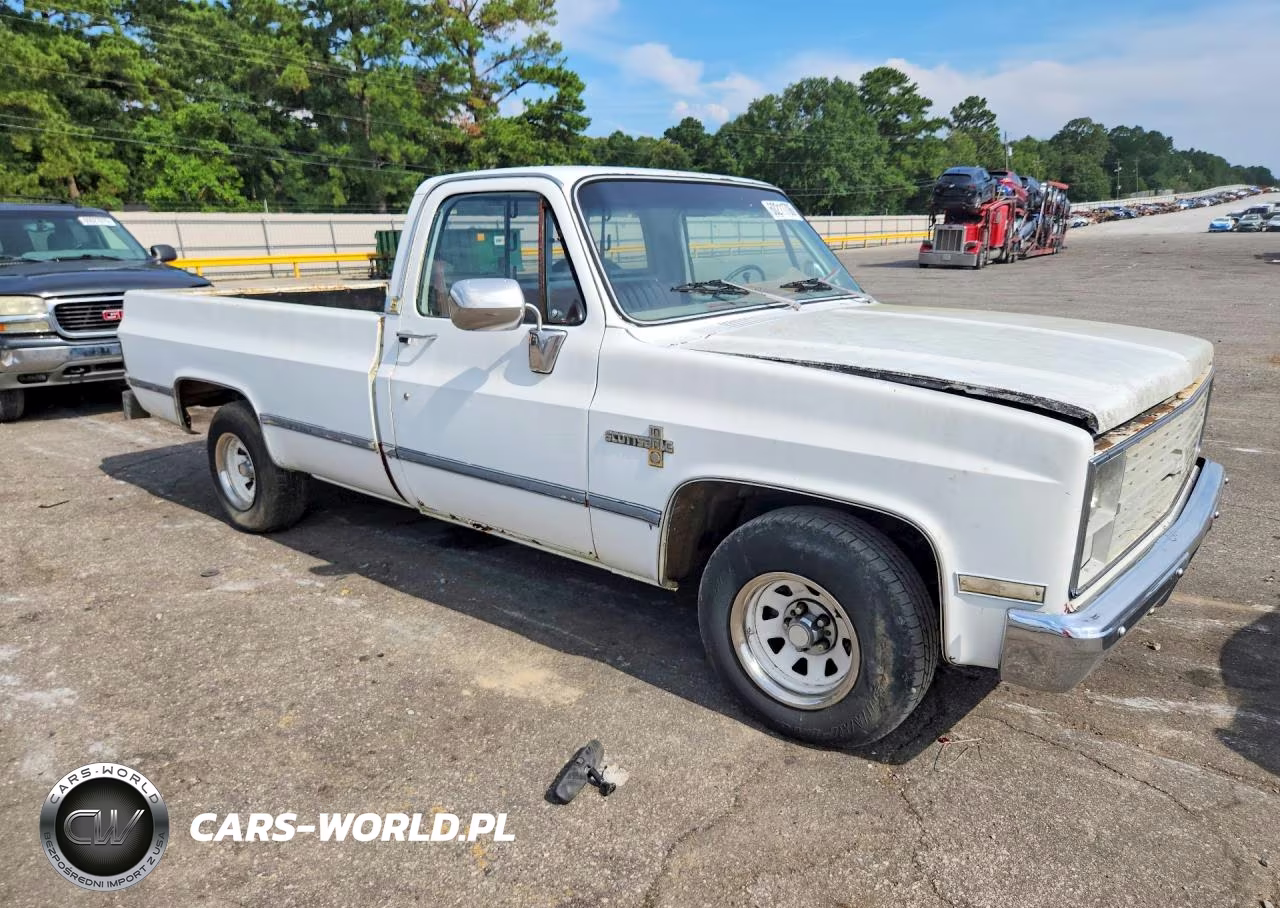 1983 Chevrolet C10 VIN:1GCCC14H5DF305331 - 4