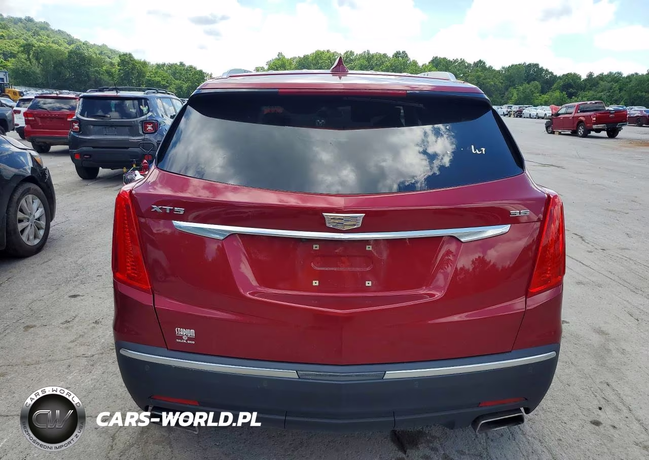 2019 Cadillac Xt5 Luxury VIN:1GYKNCRSXKZ244778 - 6