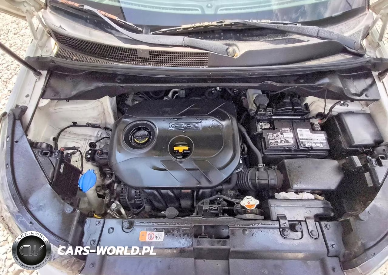 2019 Kia Soul + VIN:KNDJP3A56K7690794 - 12
