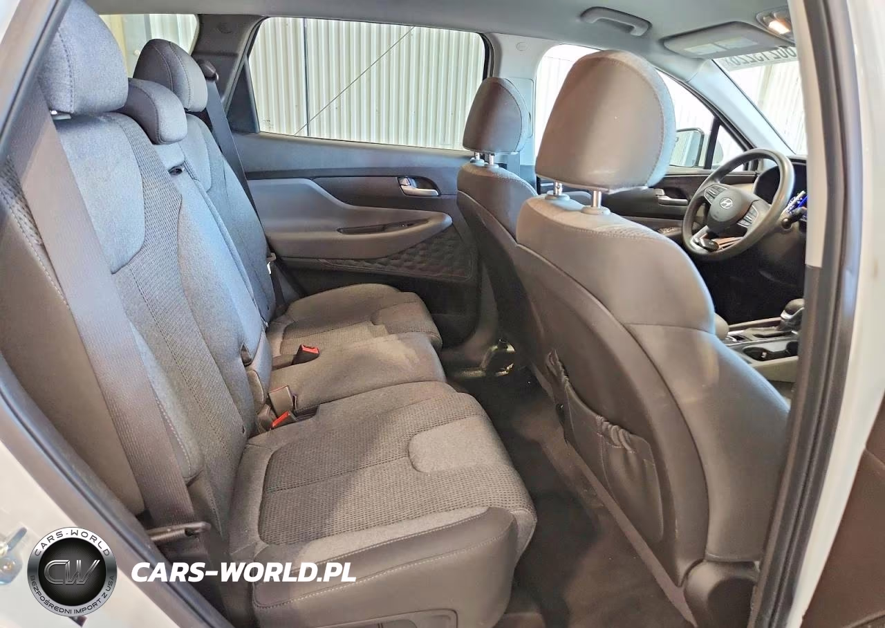 2020 Hyundai Santa Fe Sel VIN:5NMS3CAD1LH148746 - 11