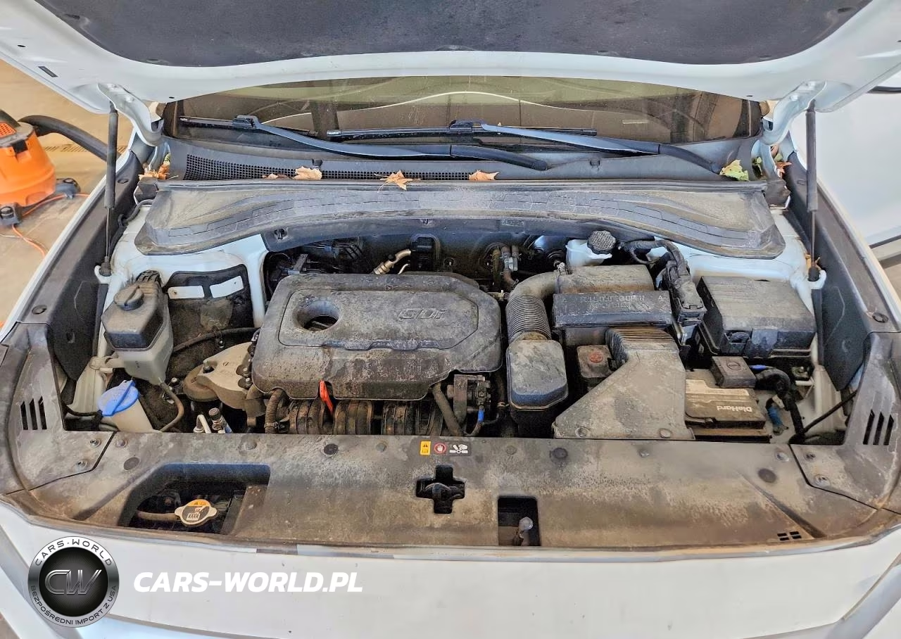 2020 Hyundai Santa Fe Sel VIN:5NMS3CAD1LH148746 - 12