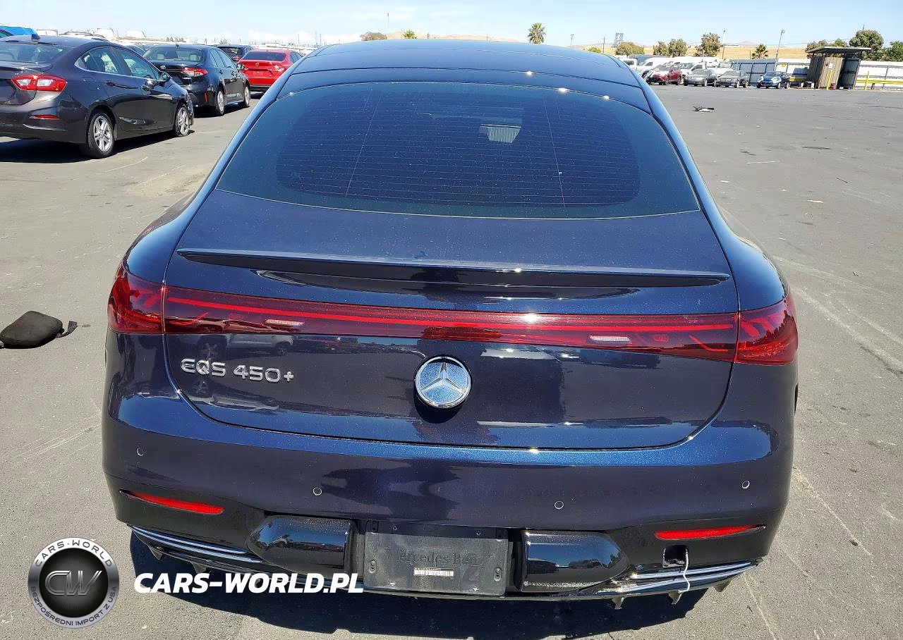 2022 Mercedes-Benz Eqs Sedan 450+ VIN:W1KCG2DB2NA008477 - 6