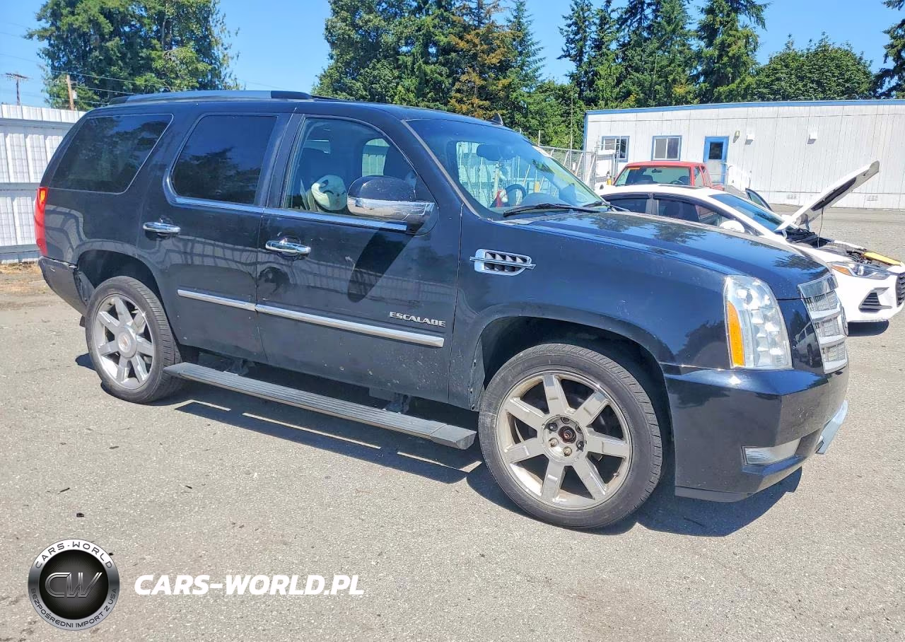 2012 Cadillac Escalade Platinum VIN:1GYS4DEF3CR100458 - 4