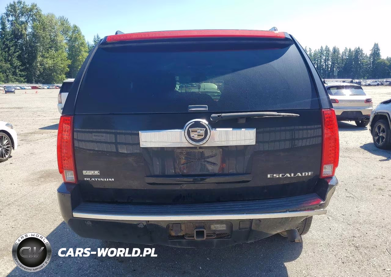 2012 Cadillac Escalade Platinum VIN:1GYS4DEF3CR100458 - 6