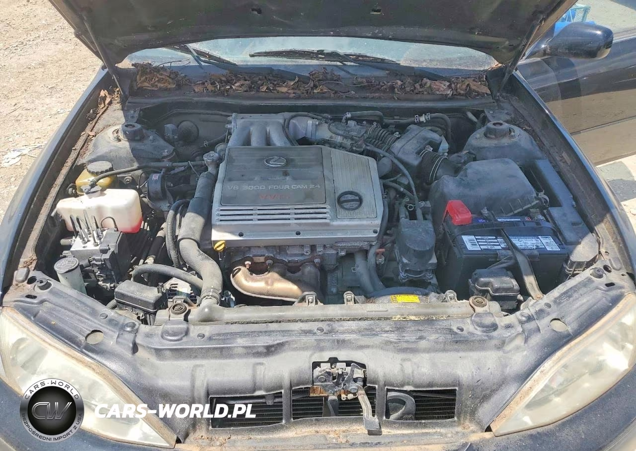 1999 Lexus Es 300 VIN:JT8BF28G0X0197474 - 11