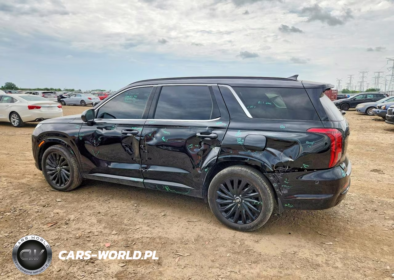 2025 Hyundai Palisade Calligraphy Night Edition VIN:KM8R7DGE8SU869481 - 2