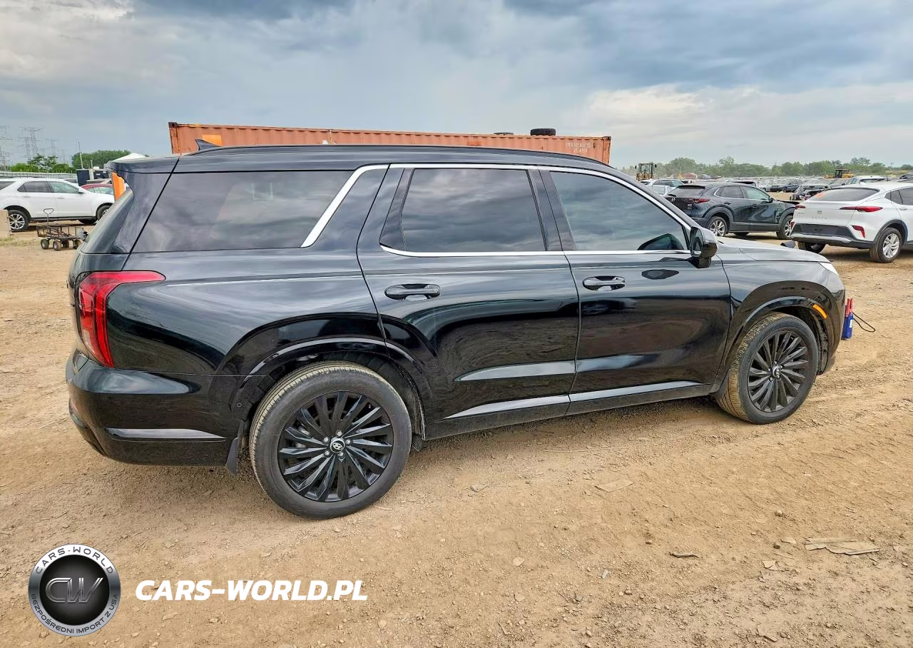 2025 Hyundai Palisade Calligraphy Night Edition VIN:KM8R7DGE8SU869481 - 3