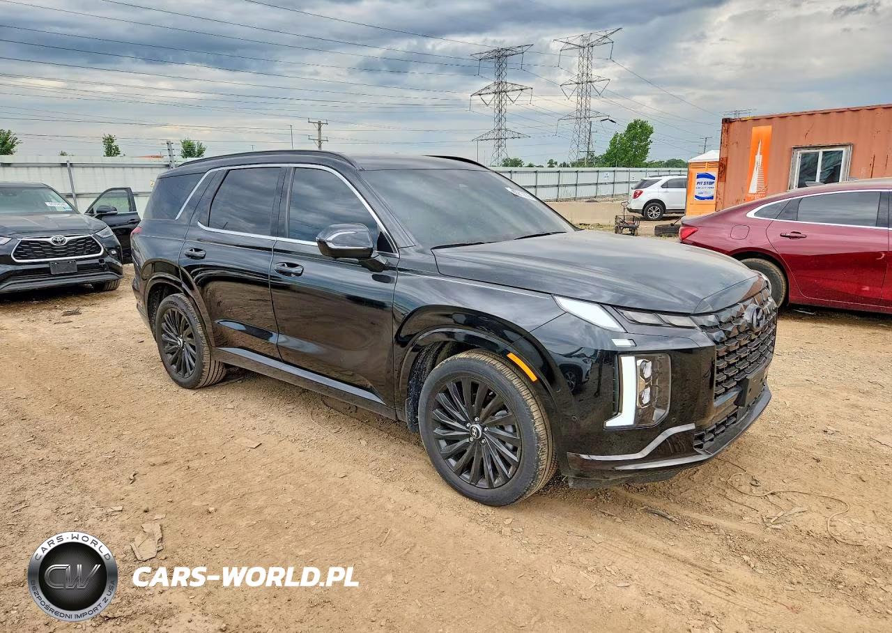 2025 Hyundai Palisade Calligraphy Night Edition VIN:KM8R7DGE8SU869481 - 4