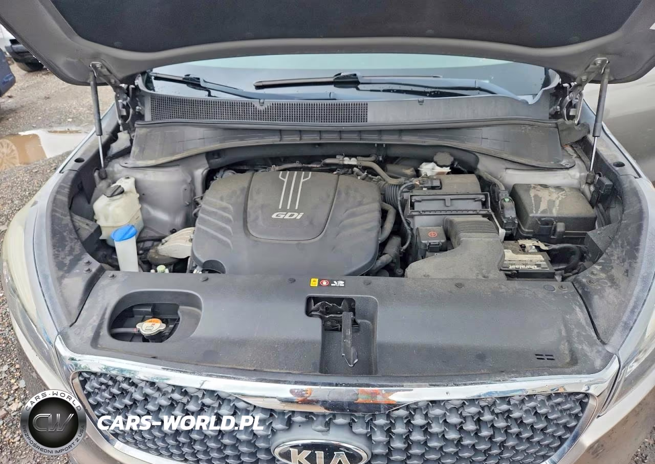 2018 Kia Sorento Lx V6 VIN:5XYPGDA54JG413286 - 12