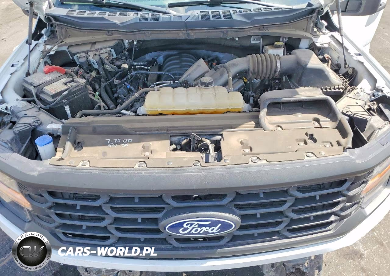 2024 Ford F150 Xl VIN:1FTFW1L50RKD62160 - 11
