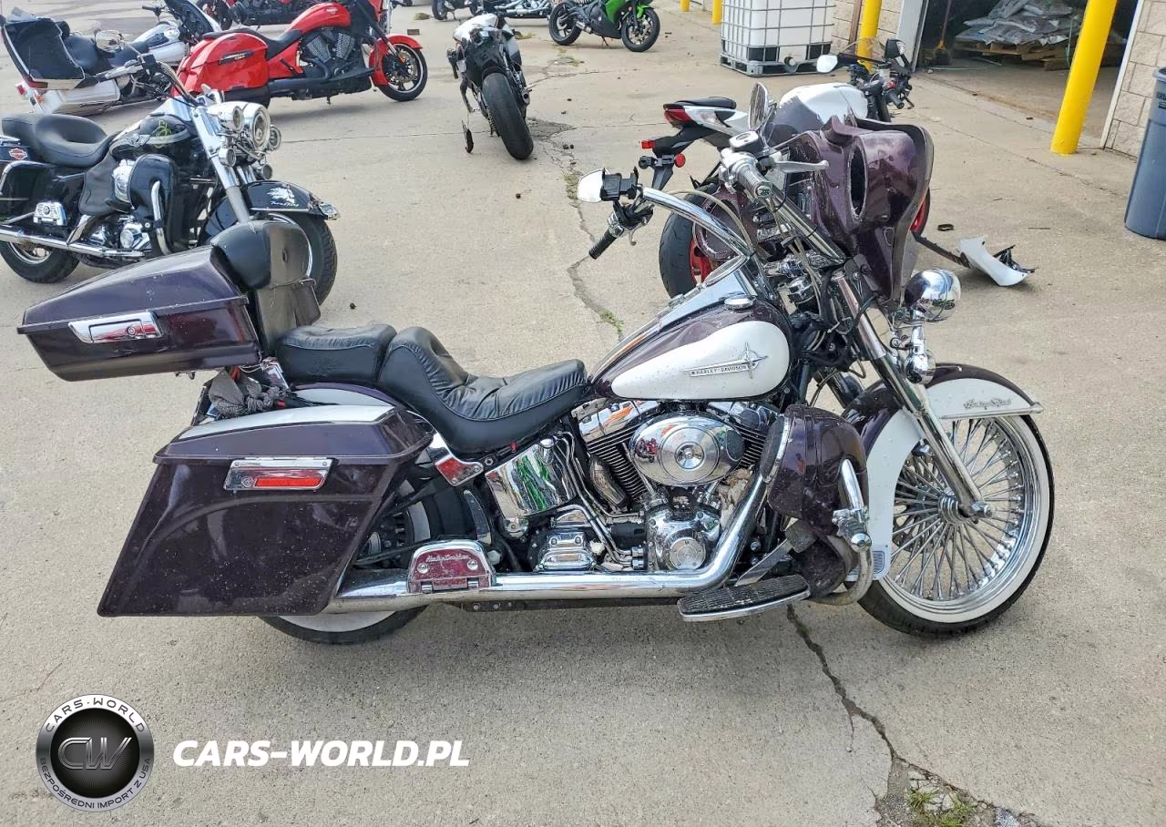 2005 Harley-Davidson Flstci