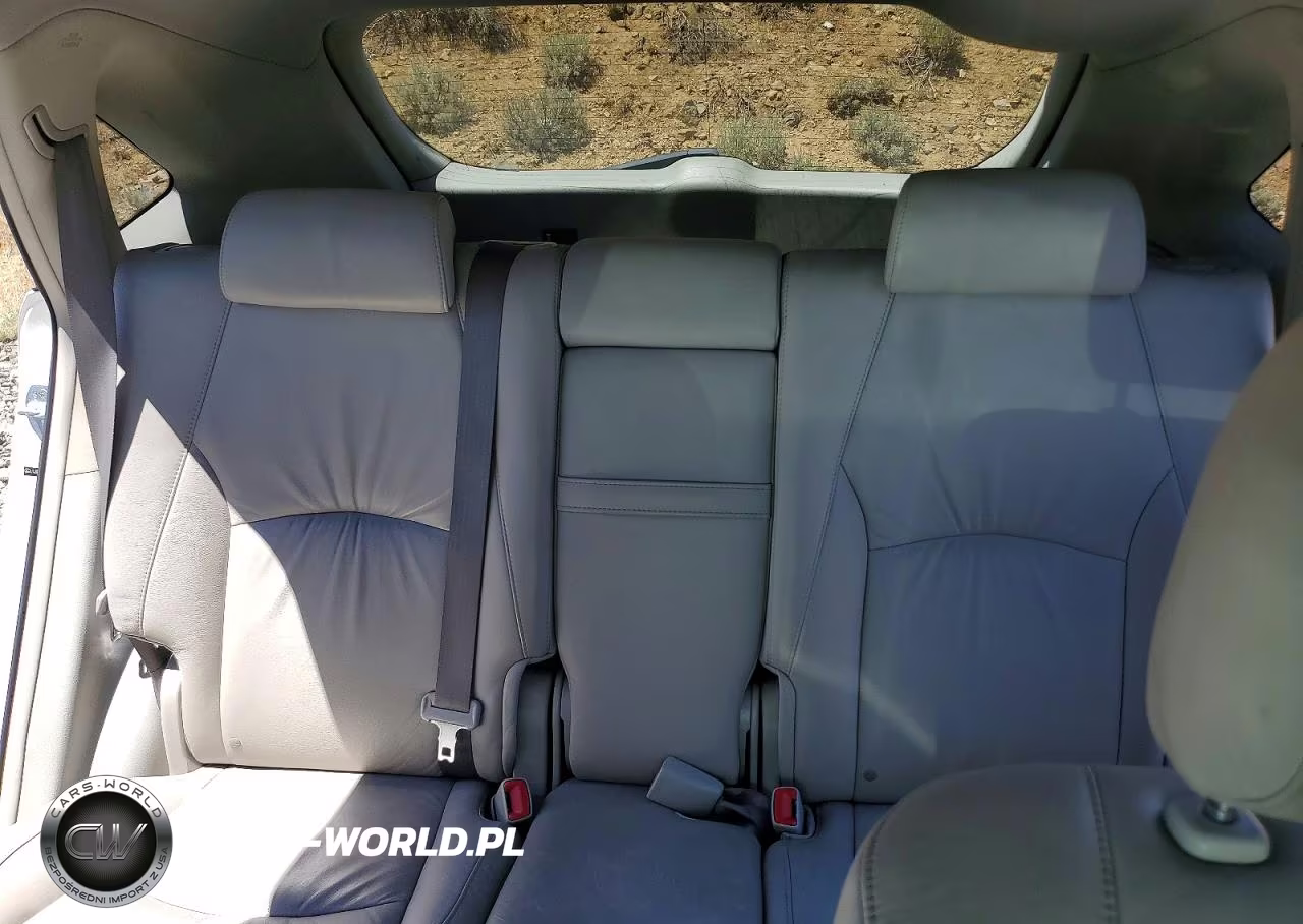 2007 Lexus Rx 350 VIN:JTJGK31U170006098 - 10
