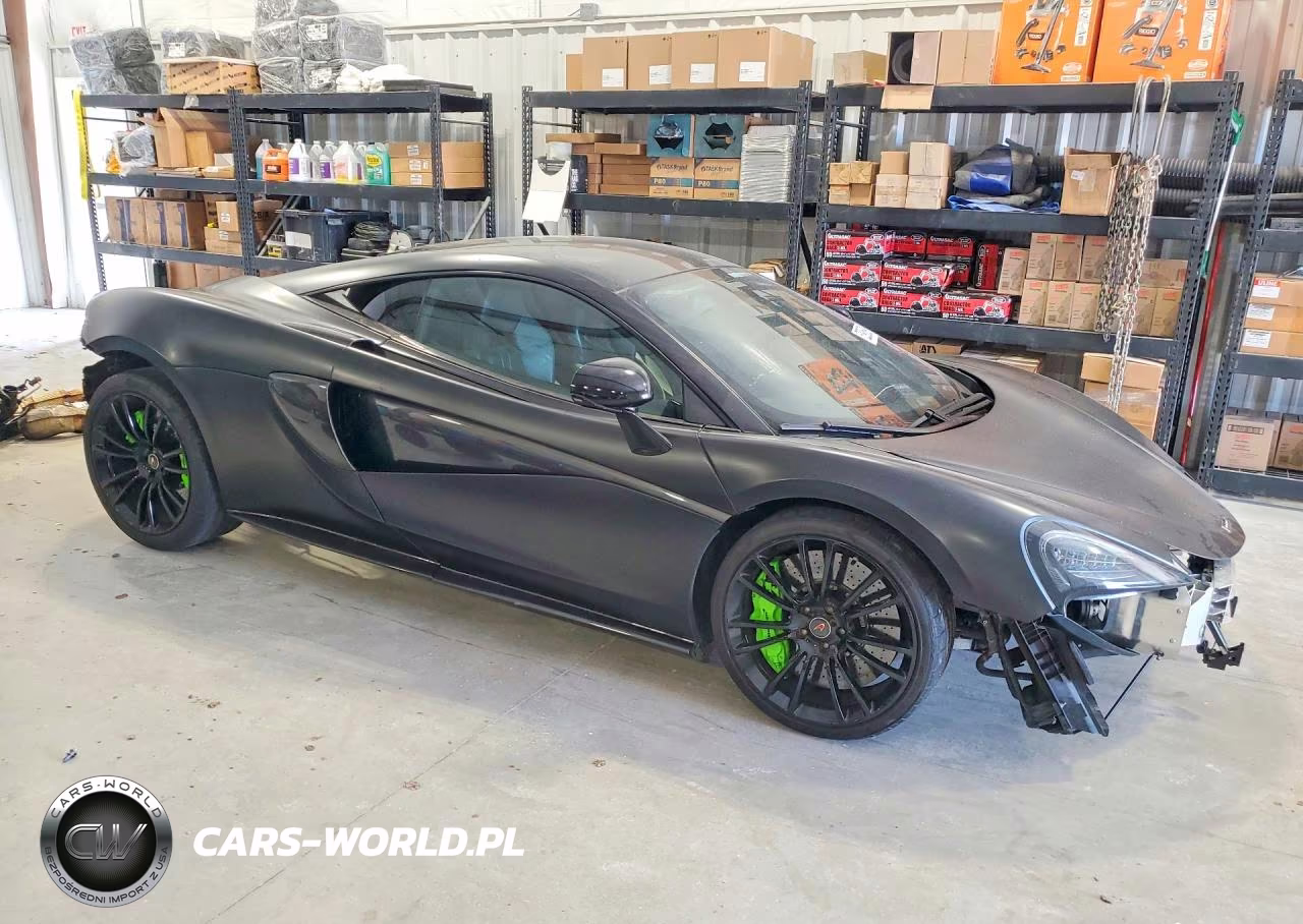 2016 Mclaren Automotive 570S VIN:SBM13DAA7GW000196 - 4