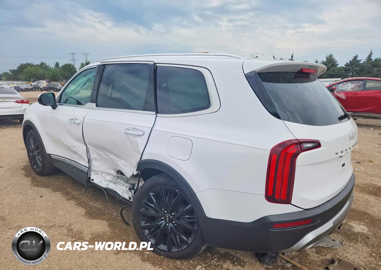2022 Kia Telluride Sx VIN:5XYP54HC3NG214729 - 2