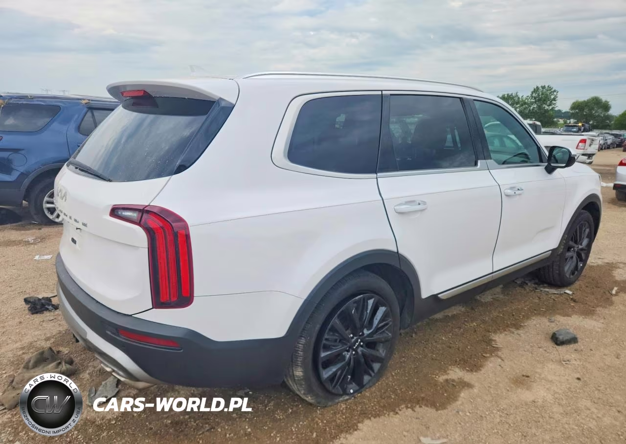 2022 Kia Telluride Sx VIN:5XYP54HC3NG214729 - 3