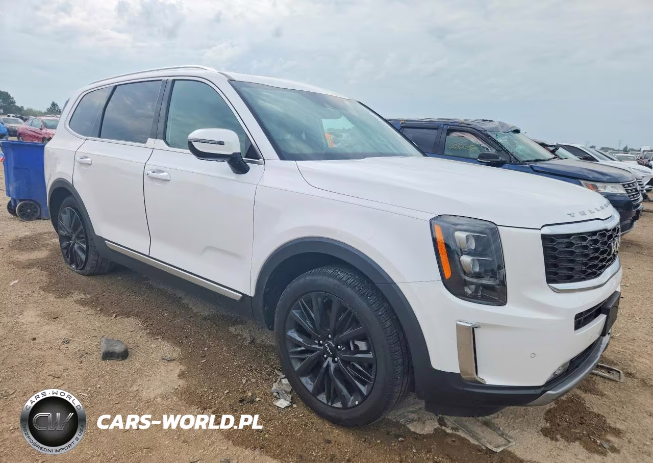 2022 Kia Telluride Sx VIN:5XYP54HC3NG214729 - 4