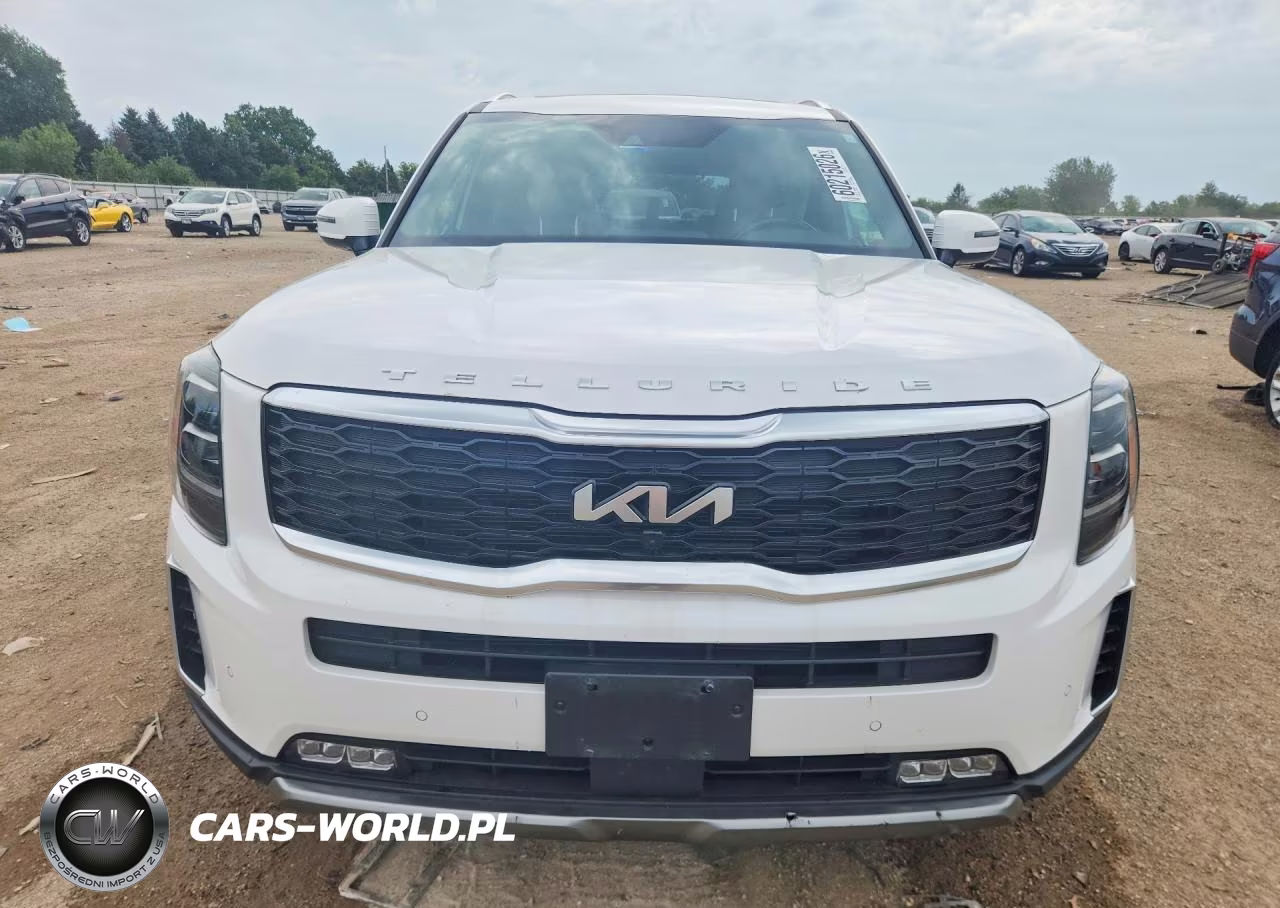 2022 Kia Telluride Sx VIN:5XYP54HC3NG214729 - 5