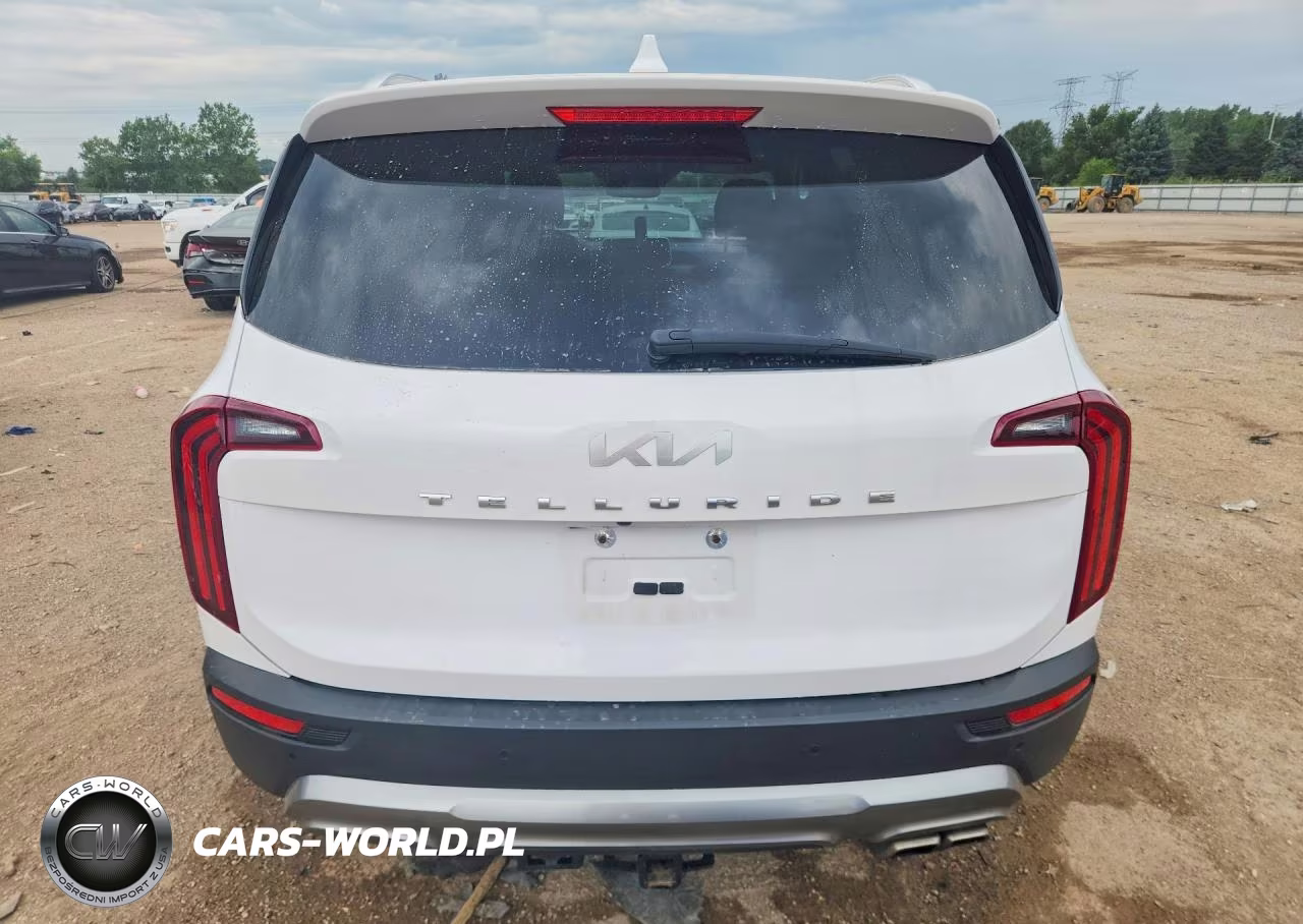2022 Kia Telluride Sx VIN:5XYP54HC3NG214729 - 6