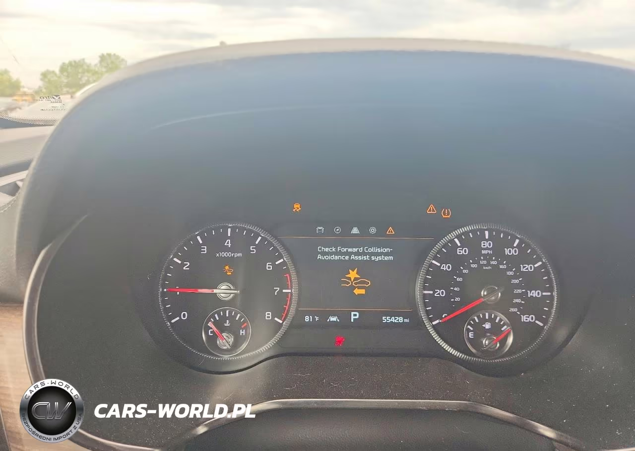 2022 Kia Telluride Sx VIN:5XYP54HC3NG214729 - 9