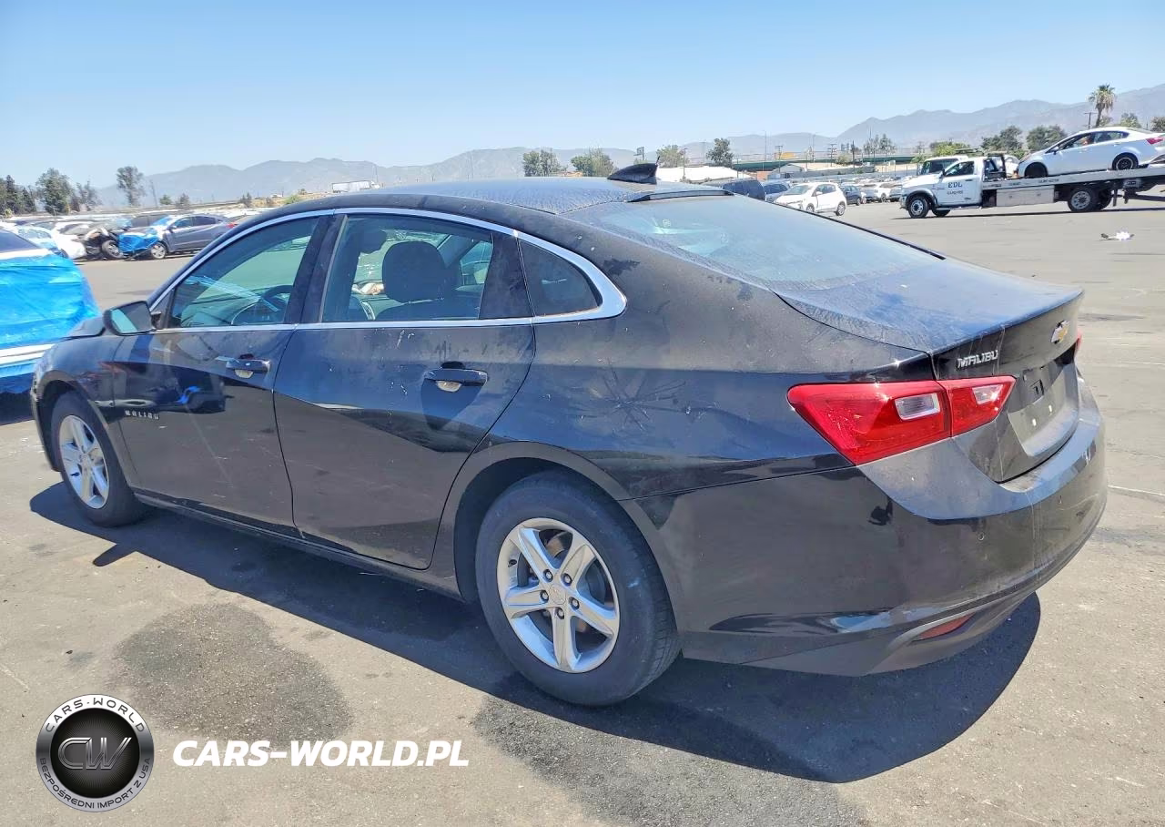 2024 Chevrolet Malibu Lt VIN:1G1ZD5ST0RF242970 - 2