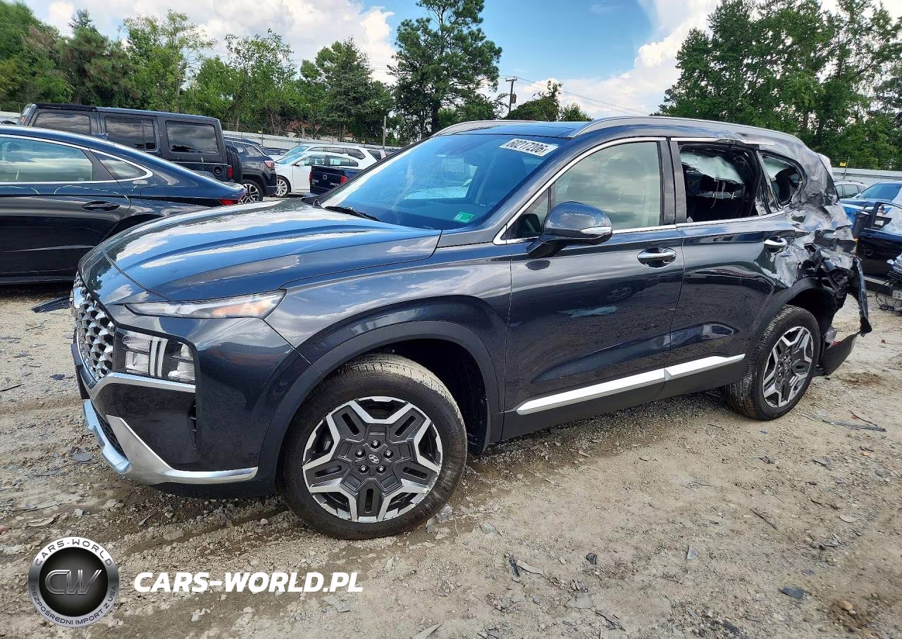 2023 Hyundai Santa Fe Sel Premium VIN:5NMS3DA19PH010356 - 1