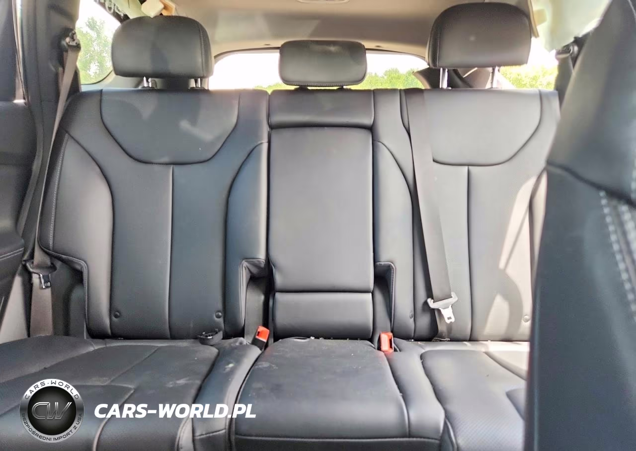 2023 Hyundai Santa Fe Sel Premium VIN:5NMS3DA19PH010356 - 10