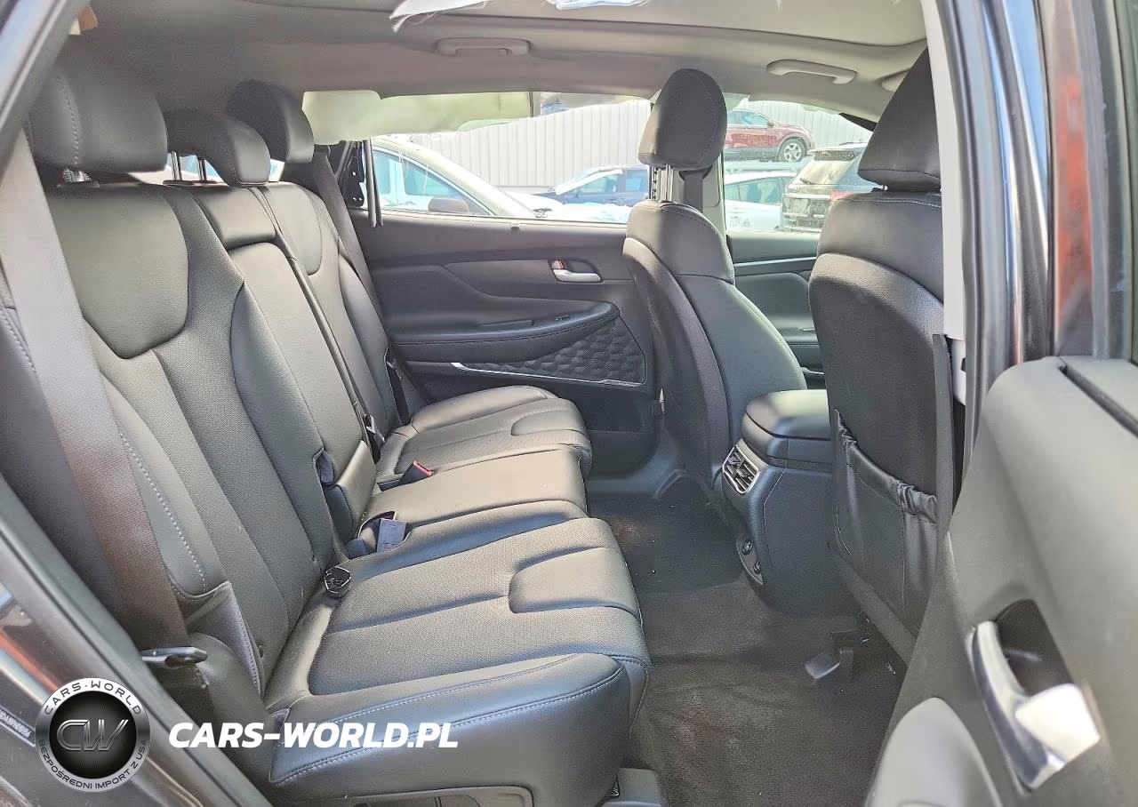 2023 Hyundai Santa Fe Sel Premium VIN:5NMS3DA19PH010356 - 11