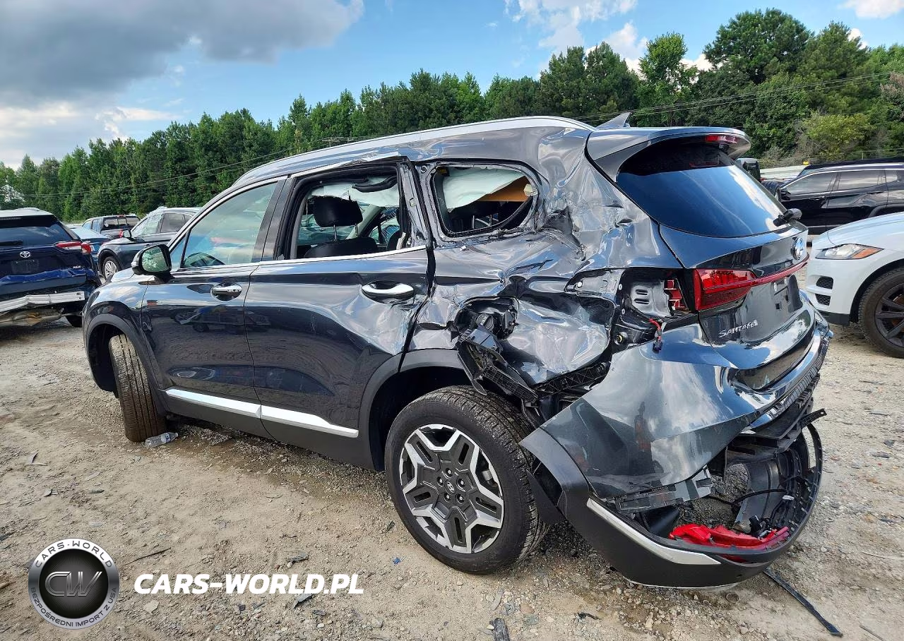 2023 Hyundai Santa Fe Sel Premium VIN:5NMS3DA19PH010356 - 2