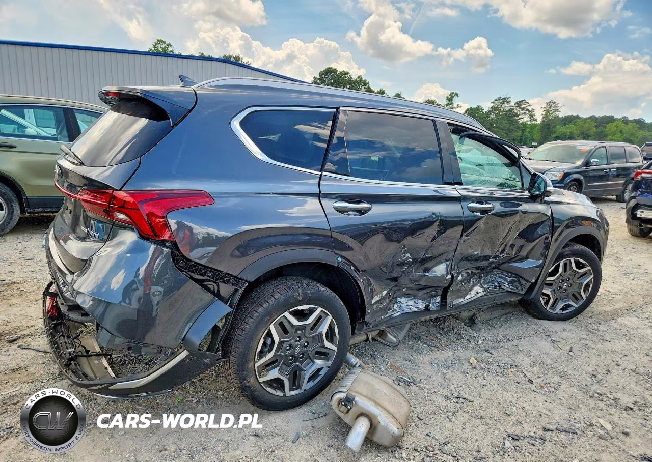 2023 Hyundai Santa Fe Sel Premium VIN:5NMS3DA19PH010356 - 3