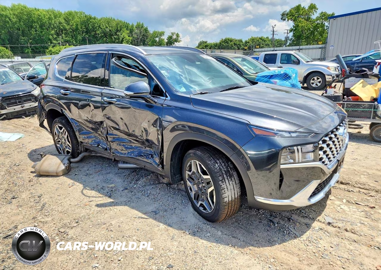 2023 Hyundai Santa Fe Sel Premium VIN:5NMS3DA19PH010356 - 4